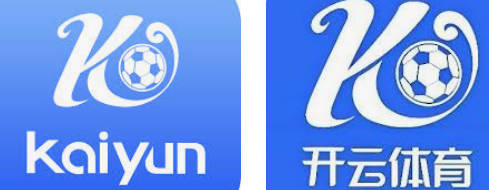 开云·电子(中国)官方网站